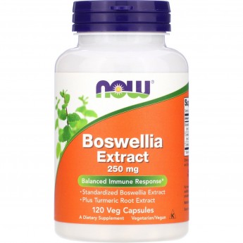Биологически активная добавка NOW FOODS BOSWELLIA EXTRACT (Экстракт Босвеллии), 250 мг - 120 капсул